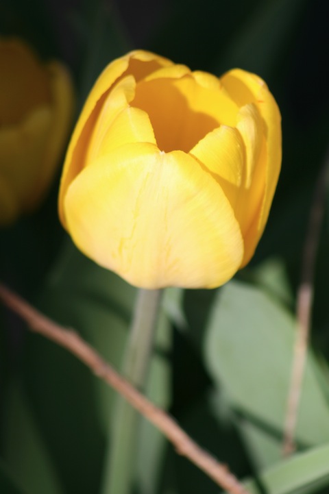 IMG_3358